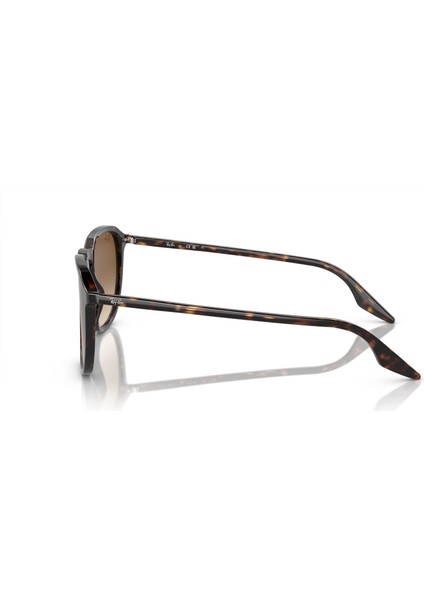 0RB2203 902/51 52 Kadın Güneş Gözlüğü fiyatları