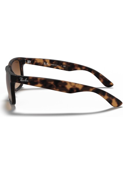 Rayban RYS/4165/710/13-55 Unisex Güneş Gözlüğü fiyatları