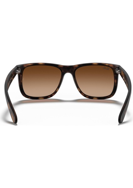 Rayban RYS/4165/710/13-55 Unisex Güneş Gözlüğü modelleri