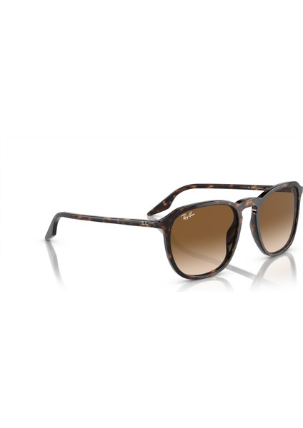 0RB2203 902/51 52 Kadın Güneş Gözlüğü fırsatları