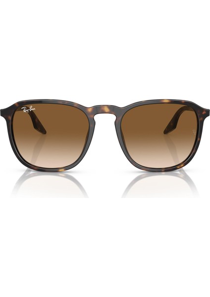 0RB2203 902/51 52 Kadın Güneş Gözlüğü indirimleri