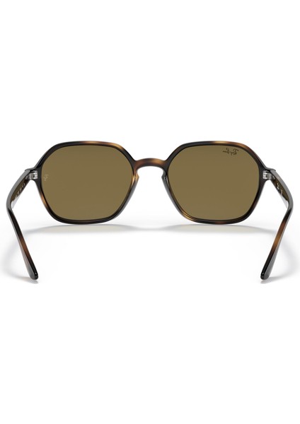 RB4361 710/73 Kadın Güneş Gözlüğü modelleri