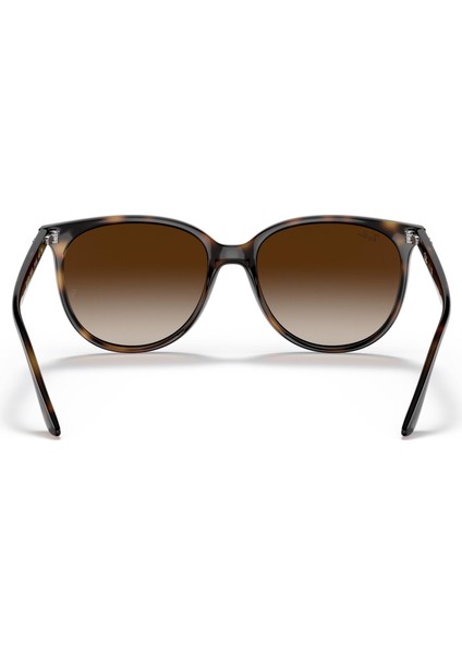 RB4378 710 13 Unisex Güneş Gözlüğü modelleri