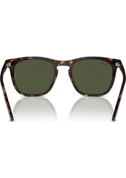 2210 902/31 53 Unisex Güneş Gözlüğü Unisex Güneş Gözlüğü modelleri