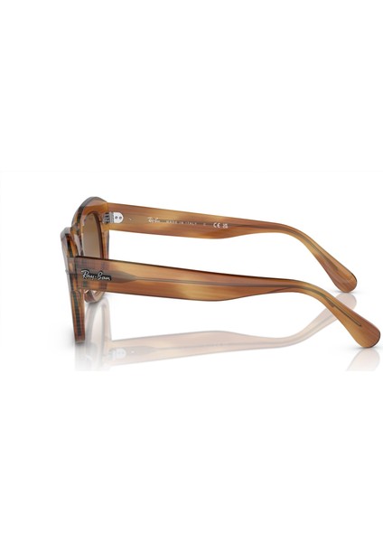 2186 140351 49-20 Kadın Güneş Gözlüğü fiyatları