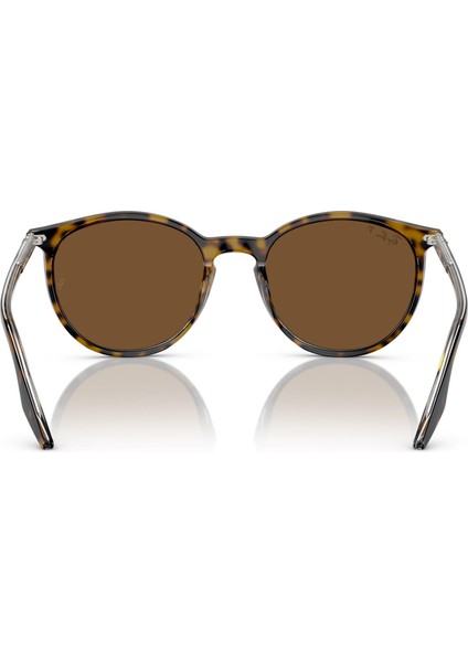 0RB2204 139357 51 Kadın Güneş Gözlüğü modelleri