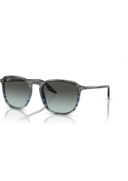 0RB2203 1391GK 52 Unisex Güneş Gözlüğü