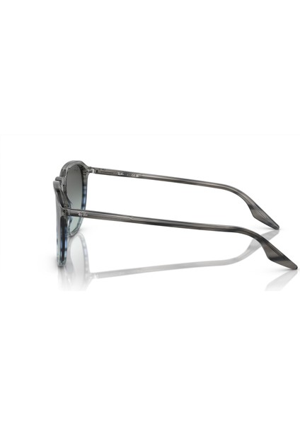 0RB2203 1391GK 52 Unisex Güneş Gözlüğü fiyatları