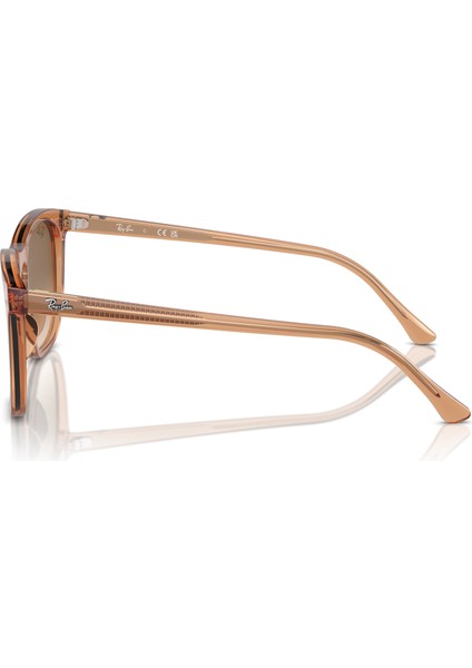 2210 676451 53 Unisex Güneş Gözlüğü modelleri