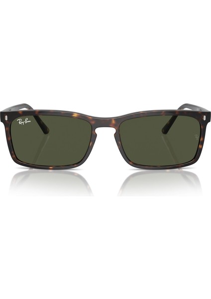 0RB4435 902/31 56 Unisex Güneş Gözlüğü indirimleri