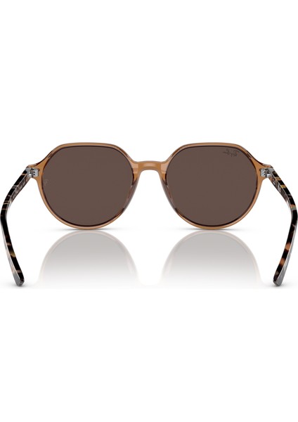 2195 6636/93 51 Wayfarer Unisex Kahve Geometrik Çerçeve Güneş Gözlüğü fırsatları
