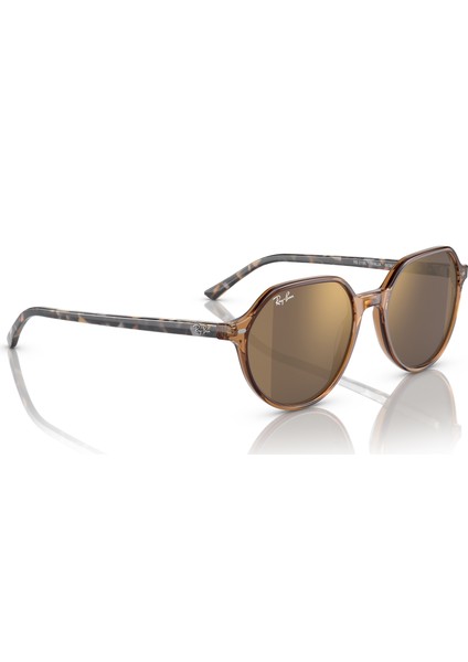 2195 6636/93 51 Wayfarer Unisex Kahve Geometrik Çerçeve Güneş Gözlüğü indirimleri