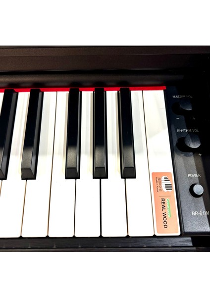 Dijital Piyano Br-61 Bk fırsatları