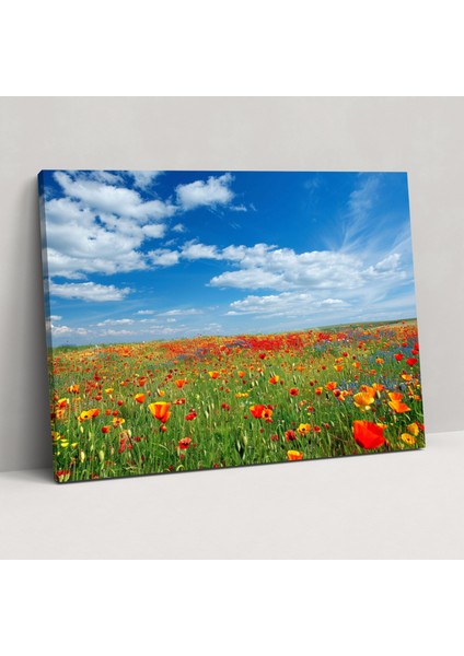 Claude Monet Gelincik Tarlası Kanvas Tablo - Duvar Sanatı Ev Dekorasyonu