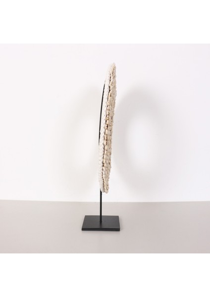 Mylamp Papua Deniz Kabuğu Makromeli Masa Üstü Dekor L modelleri