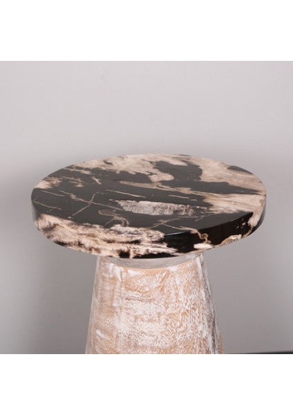 Mylamp Karana Fosil Ağaç & Mungur Sehpa 30X28X52 cm fiyatları