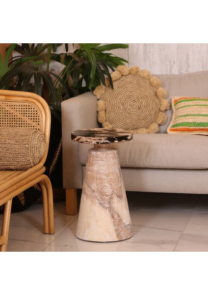 Mylamp Karana Fosil Ağaç & Mungur Sehpa 30X28X52 cm indirimleri