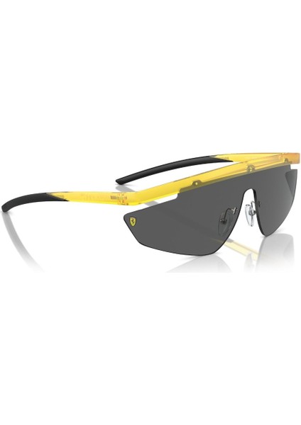 Ferrari Scuderia 0FZ6001 507/87 40 Unisex Güneş Gözlüğü fiyatları