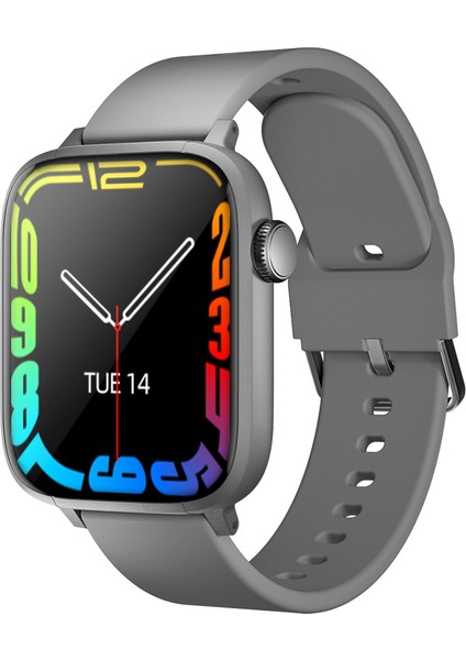 SWS5GT Bracelet-Sılver fiyatları