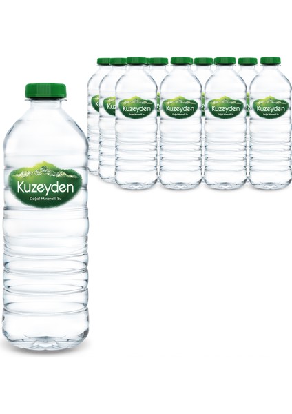 Doğal Mineralli Su (12x500 Ml)