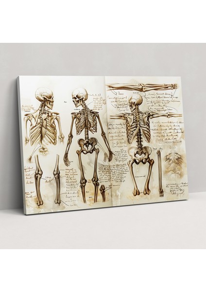 Leonardo Da Vinci Duvar Dekorasyonu - Kanvas Tablo Duvar Sanatı