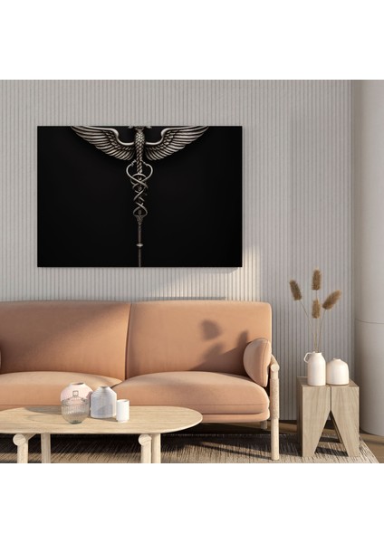 Tıp Çerçeveli Kanvas Tablo - Caduceus Sembolü - Tıp Tıbbi Meslek Kanvas Duvar Sanatı Duvar Dekorasyonu. fiyatları