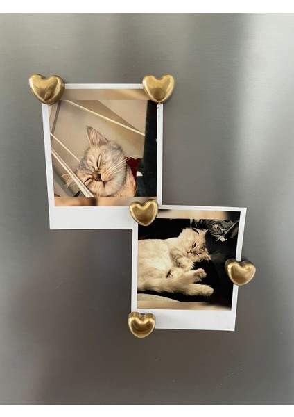 Bronz 5'li Kalpli Magnet Seti – Fotoğraf ve Not Tutucu, Buzdolabı Süsü, Güçlü Mıknatıs, Dekora fiyatları