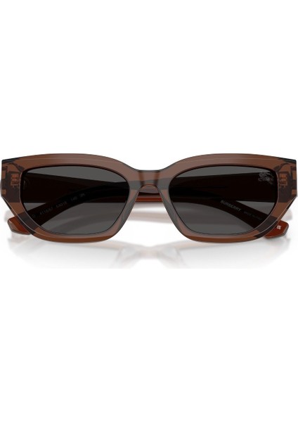 0BE 4463D 411687 54 Kadın Güneş Gözlüğü modelleri