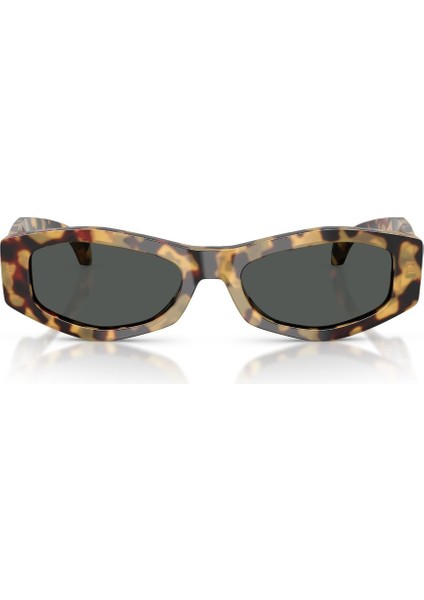 4487 GÜNEŞ GÖZLÜĞÜ fiyatları