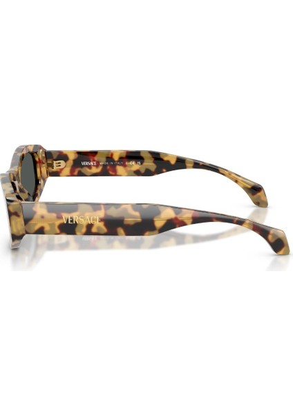 4487 GÜNEŞ GÖZLÜĞÜ modelleri