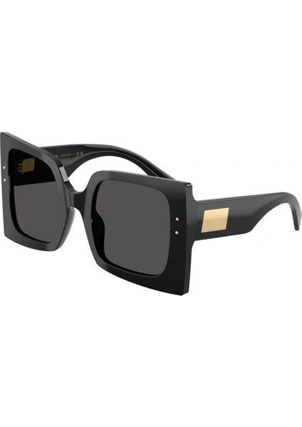 0DG 4490 501/87 53 Kadın Güneş Gözlüğü