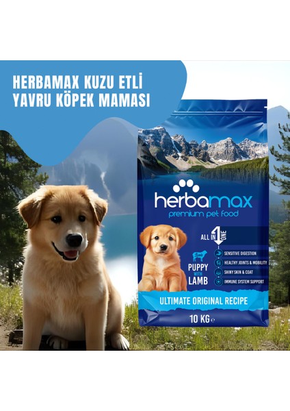 Premium Puppy Kuzu Etli ve Pirinçli Yavru Köpek Maması 10 Kg – Tüm Irklar İçin, Yüksek Proteinli fiyatları