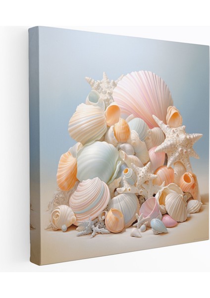Pastel Deniz Kabuğu Natura Tablo - Huzurlu Duvar Dekorasyonu - Pastel Duvar Sanatı Huzurlu Pastel Doğal Yaşam Zarif Kompozisyon