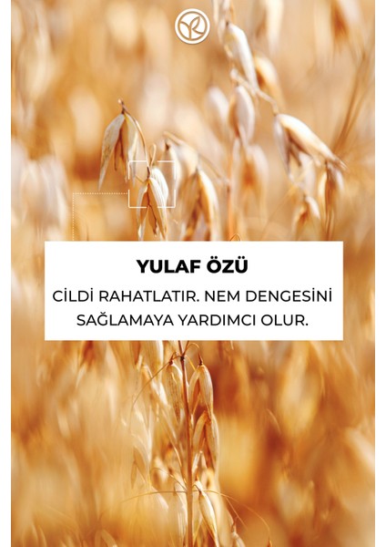 Yulaf Kokulu Unisex Katı Deodorant 50 gr – Ter Kokusu Önleyici ve Leke Bırakmayan Etkili Formül