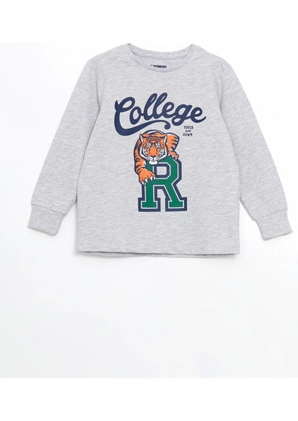 Lcw Kids Gri Bisiklet Yaka Erkek Çocuk Pijama Takımı fiyatları