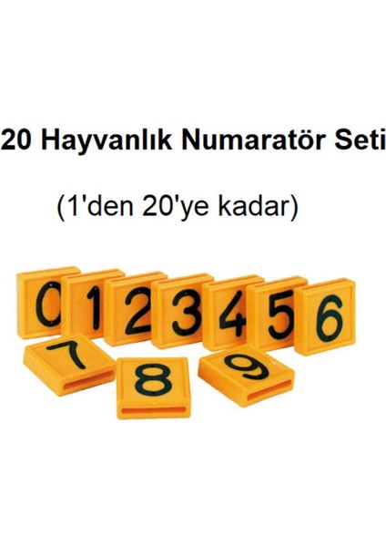 20 Adet Hayvan Boyun Kayışı ve Numaratör Seti, 1'den 20'ye Kadar Renkli Tercihler