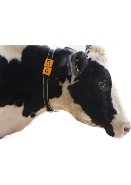20 Adet Hayvan Boyun Kayışı ve Numaratör Seti, 1'den 20'ye Kadar Renkli Tercihler fiyatları