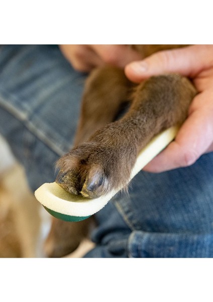 Veteriner Cebire, 3X20 Cm, Pratik ve Kullanışlı. fırsatları