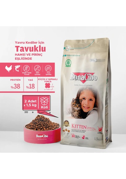 Kitten 1.5 Kg.2 Li