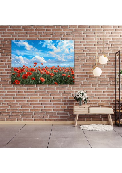 Van Gogh'un Gelincik Tarlası Tablosu - Kanvas Tablo Ev Dekorasyonu Için Van Gogh Sanatı modelleri