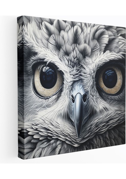 Vahşi Yaşam Duvar Tablosu - Bilge Baykuş - Vahşi Yaşam Bilge Baykuş Kanvas Duvar Sanatı Detaylı Kurşun Kalem Çizimi