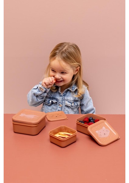 Mrs.cat 3lü Atıştırmalık Kabı fırsatları