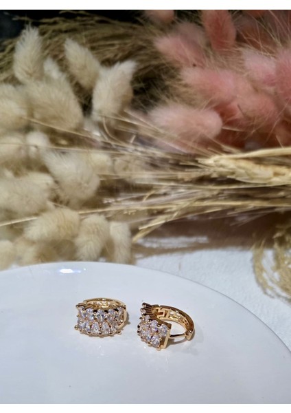 Altın Kaplama Çelik Zirkon Taşlı Modern Kadın Küpe fırsatları