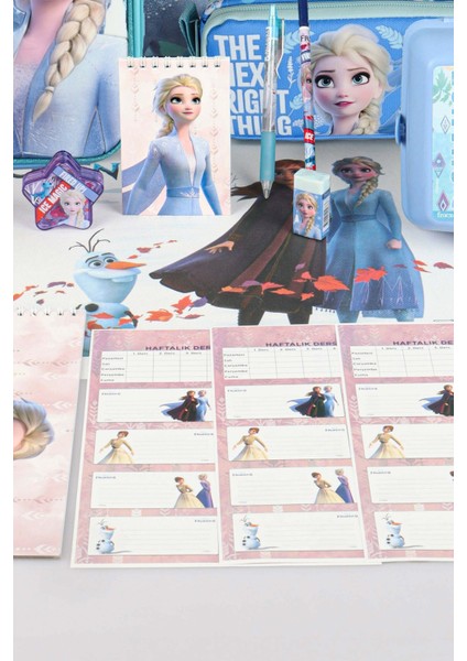 Dekomus Lisanslı Elsa Frozen "okul Çantası,kalem ve Beslenme Çantası,beslenme Kabı ve 500 ml Trıtan Matara Okul Seti fırsatları