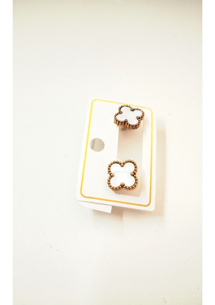 Çelik Yonca Beyaz Altın Renk Küpe Çivili