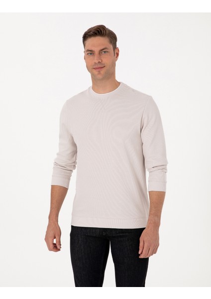 Erkek Taş Regular Fit Sweatshirt 50311649-VR049