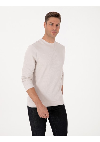 Erkek Taş Regular Fit Sweatshirt 50311649-VR049 modelleri