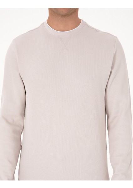 Erkek Taş Regular Fit Sweatshirt 50311649-VR049