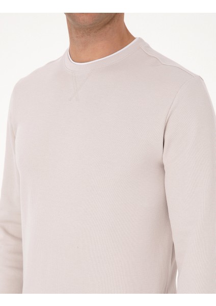 Erkek Taş Regular Fit Sweatshirt 50311649-VR049