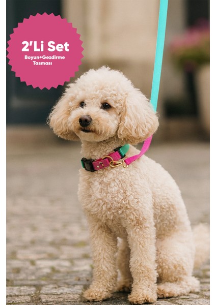 Ayarlanabilir Köpek Boyun ve Gezdirme Tasması Seti fırsatları